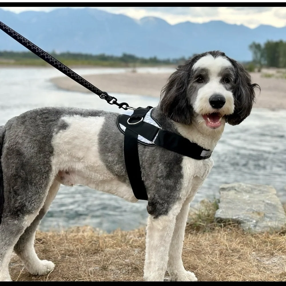 NWT Shawn co. The essential dog harness in Arctic camo dog vest size Medium
